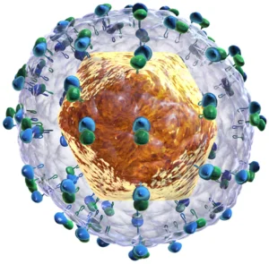 virus de la epatitis c en reproducción asistida